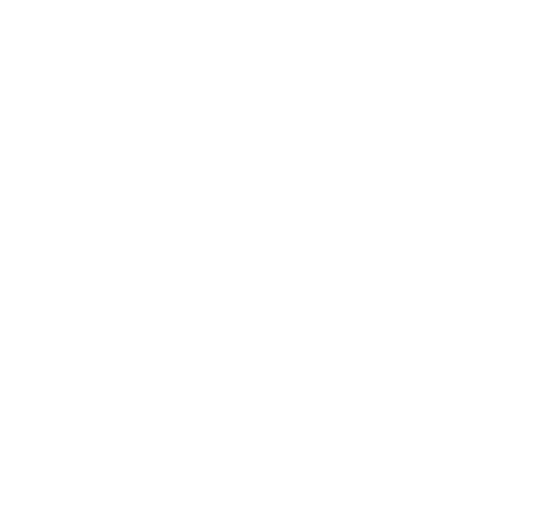 logo pony